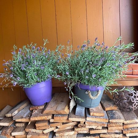 Chalet Yulia Zell am See Bagian luar foto