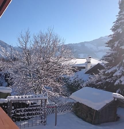 Chalet Yulia Zell am See Bagian luar foto